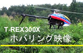 T-REX300Xがいよいよ発売となりました。　宇都宮市のハミングバード飯山飛行場でのホバリング飛行の映像です。